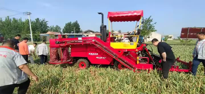 Double Rows Mini Tractor Mounted Onion Cassava Sweet Potato Murphy Carrot Ginger Harvester