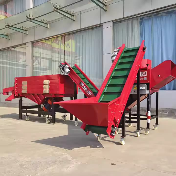Bulk bestelkorting knoflook splitter met maten sorteren beoordeling aangepaste capaciteit configuratie knoflook verdelen en splitsen apparatuur