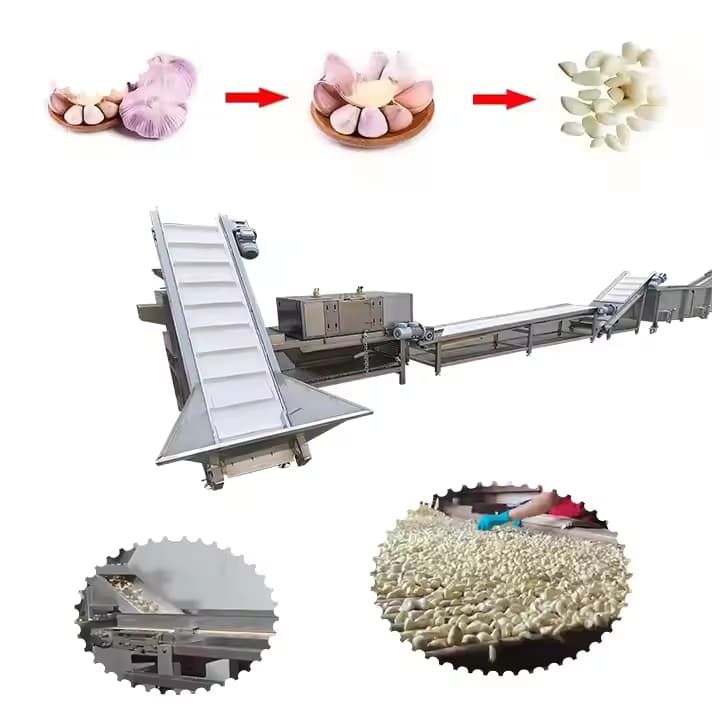 Groothandel Automatische knoflook Peeling Machines Commerciële geschilde knoflookproductielijn Automatische verwerkingsfabriek