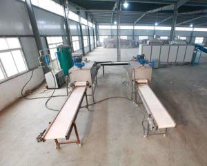 Grote knoflook productielijn