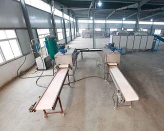 Grote knoflook productielijn